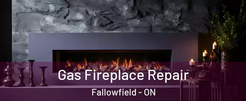  Gas Fireplace Repair Fallowfield - ON
