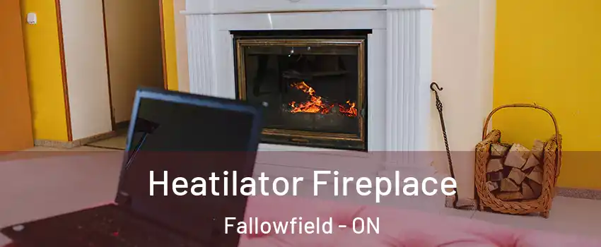  Heatilator Fireplace Fallowfield - ON