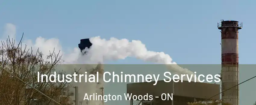  Industrial Chimney Services Arlington Woods - ON