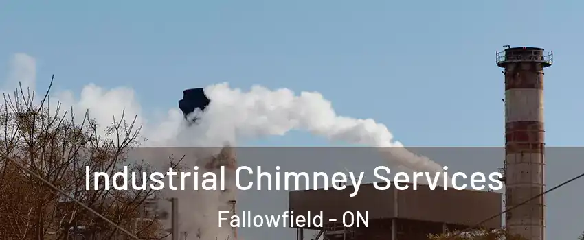  Industrial Chimney Services Fallowfield - ON