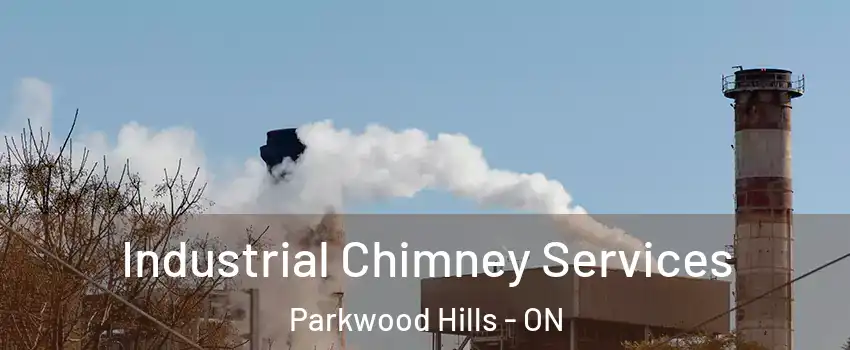  Industrial Chimney Services Parkwood Hills - ON