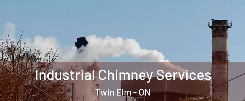  Industrial Chimney Services Twin Elm - ON
