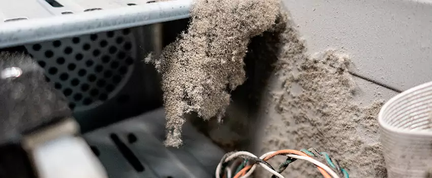 Clogged Dryer Vent Lint Cleaning in Barrhaven, Ontario