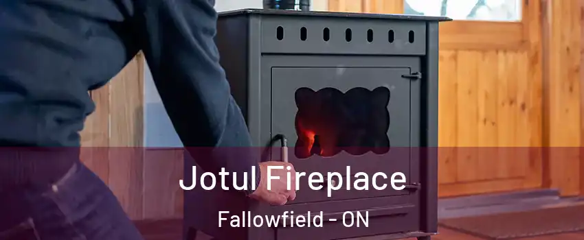  Jotul Fireplace Fallowfield - ON