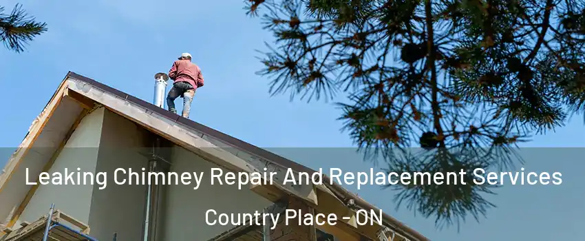 Leaking Chimney Repair And Replacement Services Country Place - ON