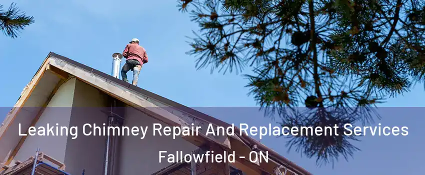  Leaking Chimney Repair And Replacement Services Fallowfield - ON