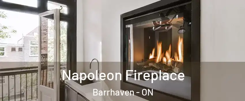 Napoleon Fireplace Barrhaven - ON
