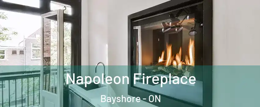  Napoleon Fireplace Bayshore - ON