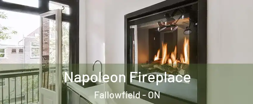  Napoleon Fireplace Fallowfield - ON