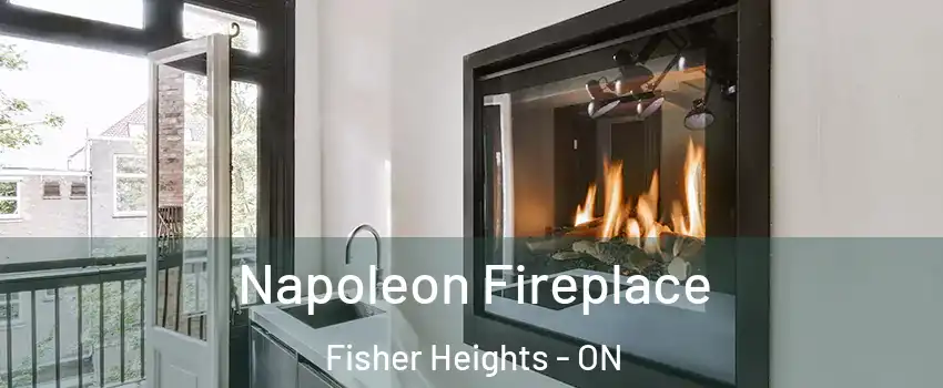 Napoleon Fireplace Fisher Heights - ON