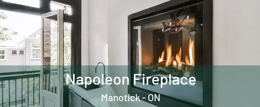  Napoleon Fireplace Manotick - ON