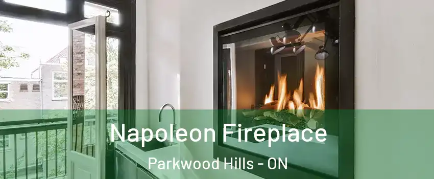  Napoleon Fireplace Parkwood Hills - ON