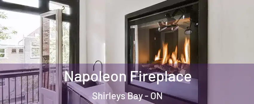  Napoleon Fireplace Shirleys Bay - ON