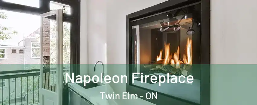 Napoleon Fireplace Twin Elm - ON