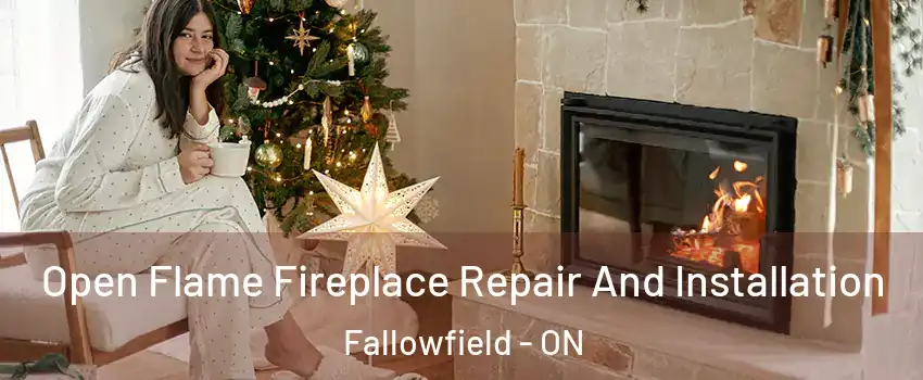  Open Flame Fireplace Repair And Installation Fallowfield - ON