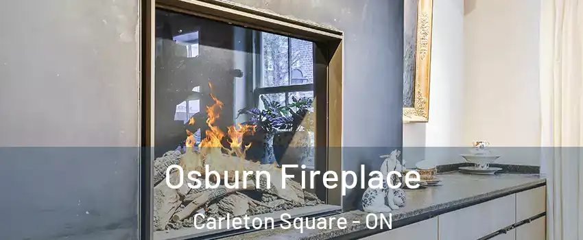  Osburn Fireplace Carleton Square - ON
