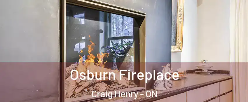  Osburn Fireplace Craig Henry - ON