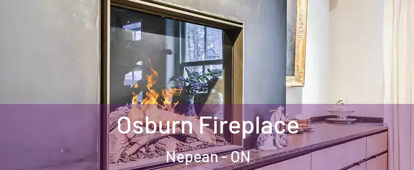  Osburn Fireplace Nepean - ON