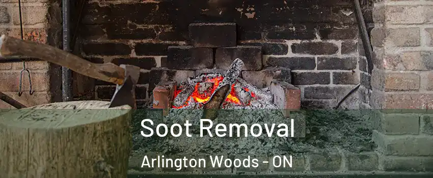  Soot Removal Arlington Woods - ON