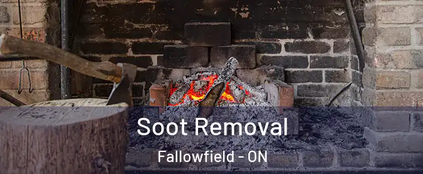  Soot Removal Fallowfield - ON
