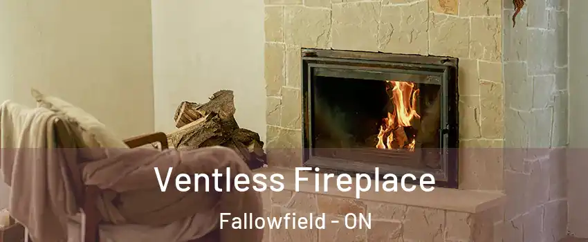  Ventless Fireplace Fallowfield - ON
