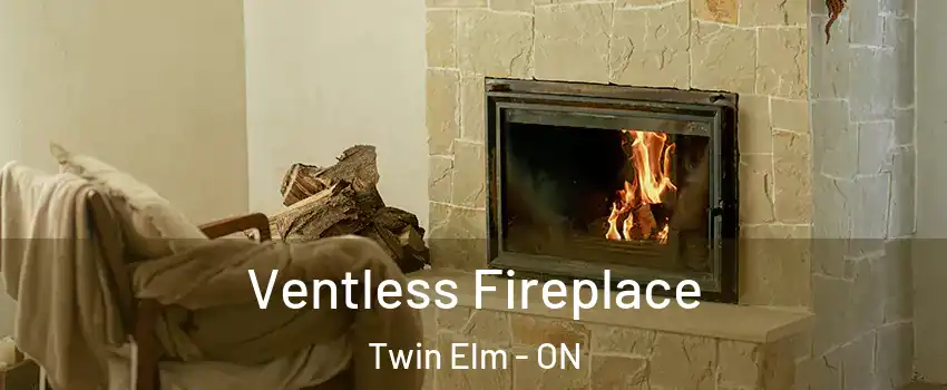  Ventless Fireplace Twin Elm - ON