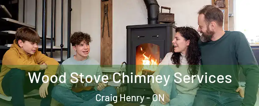  Wood Stove Chimney Services Craig Henry - ON