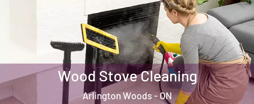  Wood Stove Cleaning Arlington Woods - ON