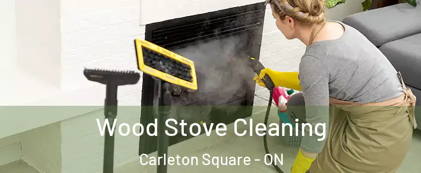  Wood Stove Cleaning Carleton Square - ON