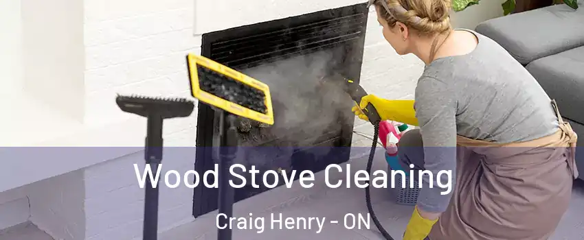  Wood Stove Cleaning Craig Henry - ON