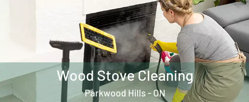  Wood Stove Cleaning Parkwood Hills - ON