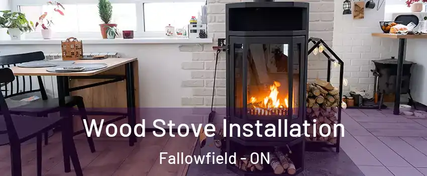  Wood Stove Installation Fallowfield - ON