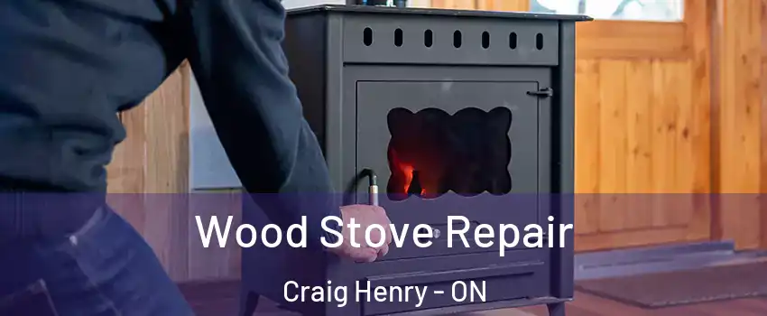  Wood Stove Repair Craig Henry - ON